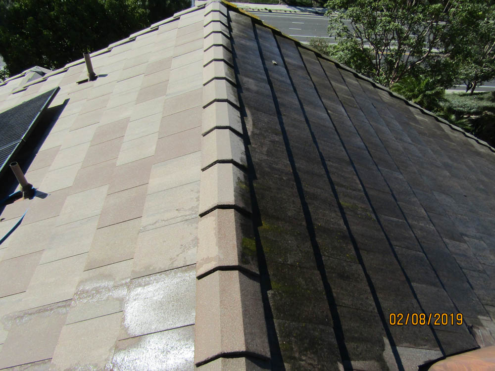Roof Cleaning Before & After Slate Roof Tile