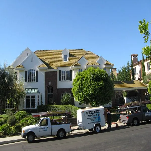 Before roof cleaning photo showing tile roof condition