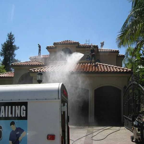 Before roof cleaning photo on a residential roof