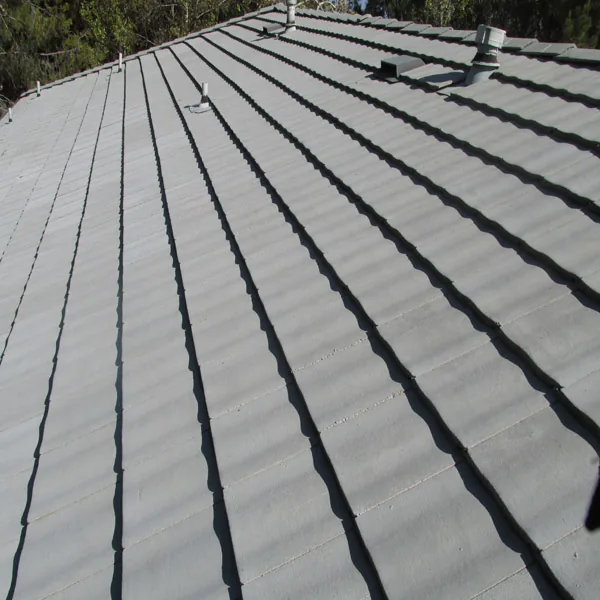 Clean slate roof surface